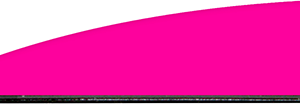 Q2i Fusion X-II SL Vanes Neon Pink 1.75 in. 100 pk.