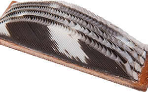 Wild Turkey Feather Arrow Rest LH