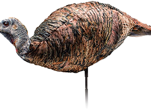 Montana Decoy Miss Purr-Fect XD Hen Decoy