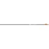 Easton 5mm Axis Sport Arrows 200 2 in. Bully Vanes 6 pk.