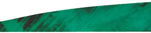 Gateway Tre-Bark Feathers Tre-Green 4 in. RW 100 pk.