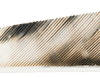 Gateway Tre-Bark Feathers Tre-Bark 4 in. RW 100 pk.