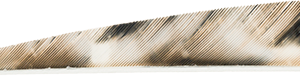 Gateway Tre-Bark Feathers Tre-Bark 4 in. RW 100 pk.