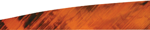 Gateway Tre-Bark Feathers Tre-Orange 4 in. RW 100 pk.