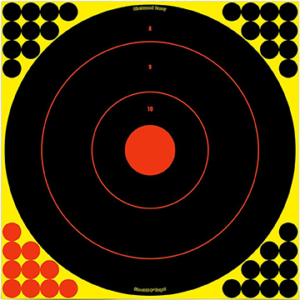 Birchwood Casey Shoot-N-C Target Bullseye 17.25 in. 5 pk.