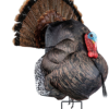 Primos Photoform Turkey Decoy Strutter