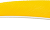 Trueflight Shield Cut Feathers Yellow 4 in. RW 100 pk.