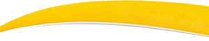 Trueflight Shield Cut Feathers Yellow 4 in. RW 100 pk.