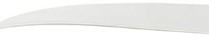 Trueflight Shield Cut Feathers White 4 in. LW 100 pk.