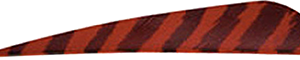 Gateway Barred Feathers Red 4 in. RW 50 pk.