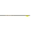 Gold Tip Hunter Pro Arrows 400 Raptor Vanes 6 pk.