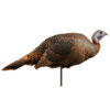 Montana Decoy Spring Fling Hen Decoy