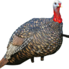 Avian X Quarter Strut Jake Turkey Decoy