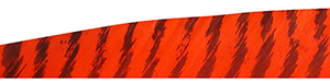 Gateway Shield Cut Feathers Barred Red 4 in. RW 100 Pk.