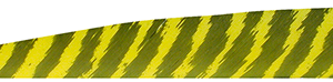 Gateway Shield Cut Feathers Barred Yellow 4 in. RW 100 Pk.