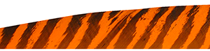 Gateway Shield Cut Feathers Barred Orange 4 in. RW 100 Pk.