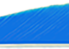 Trueflight Parabolic Feathers Blue 3 in. LW 100 pk.